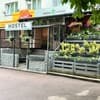 GREEN HOUSE 15