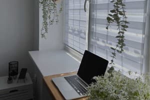 Хостел  GREEN HOUSE. Полулюкс двухместный VIP 10 3