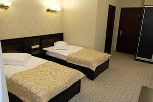 Отель Гайки Лесной. Стандарт двухместный Twin 3