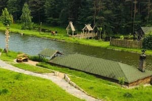 Отель Кот Баюн и Кривенькая уточка. Коттедж 4-местный  23