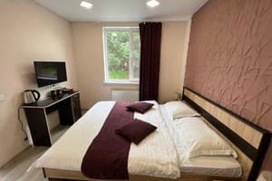 Отель Кот Баюн и Кривенькая уточка. Полулюкс двухместный  3