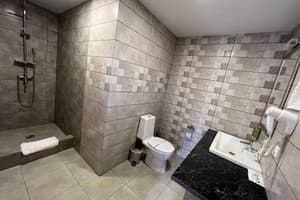 Отель Кот Баюн и Кривенькая уточка. Полулюкс двухместный  2