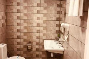 Отель Кот Баюн и Кривенькая уточка. Полулюкс двухместный  11